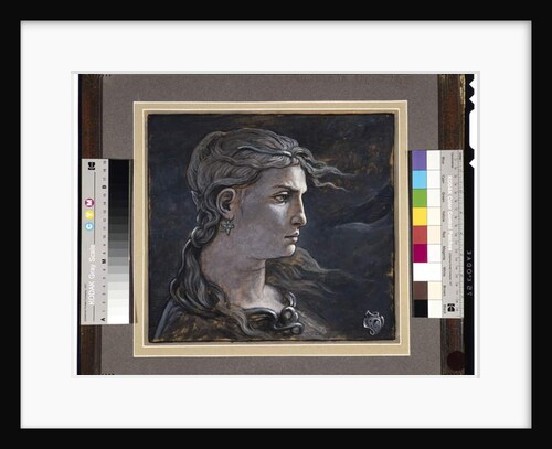 Head of Medusa, 1878 by Elihu Vedder