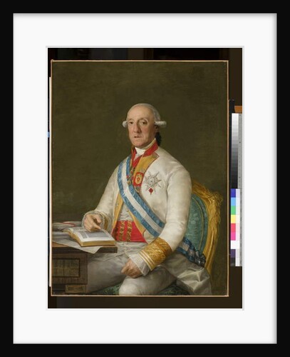 Vicente Maria de Vera de Aragon, Duque de la Roca, c.1795 by Francisco Jose de Goya y Lucientes
