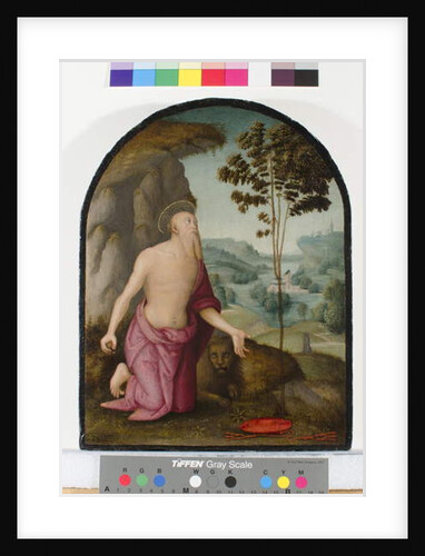 Saint Jerome in the Wilderness, c.1510-15 by Pietro Perugino