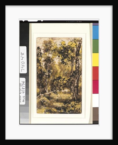 Forest Scene, 1901-15 by Ralph Albert Blakelock