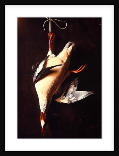Merganser, 1883 by William Michael Harnett