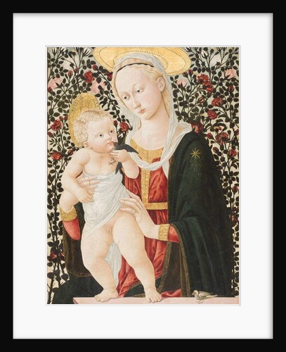 Madonna of the Roses, c.1485-90 by Pseudo Pier Francesco Fiorentino