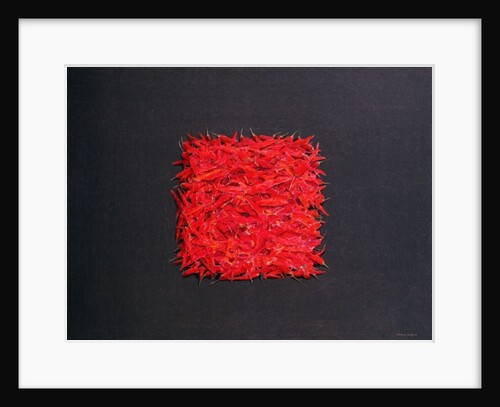 Chillies by Lincoln Seligman