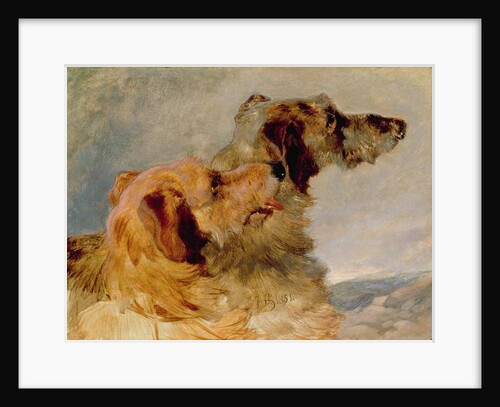 Two Deerhounds, 1851 by John Frederick Herring Snr