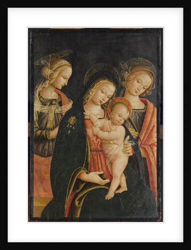 The Madonna and Child with Two Female Saints, c.1500 by Master of the Cortona Tondo