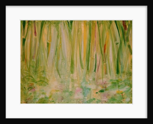 Impression of the Rain Forest, 1991 by Laila Shawa