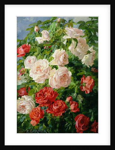 Pink Roses by Pierre Garnier