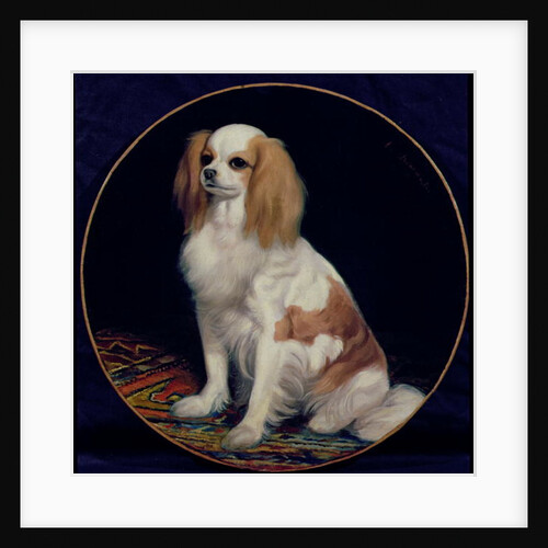 King Charles Spaniel by Charles Emile Callande de Champmartin