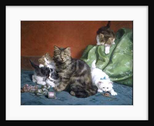 Playful Kittens by Daniel Merlin