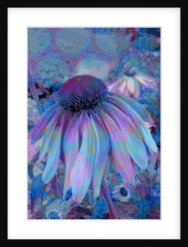 Cone Flower, 2015 by Scott J. Davis