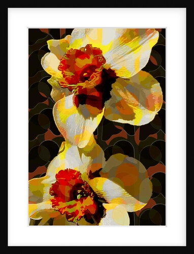 Daffodil, 2010 by Scott J. Davis