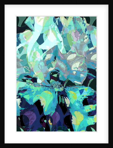 Iris, 2010 by Scott J. Davis