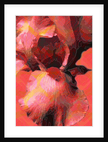 Orange Iris, 2013 by Scott J. Davis