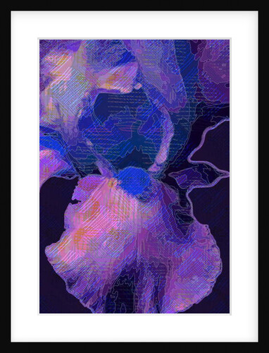 Blue Iris, 2013 by Scott J. Davis