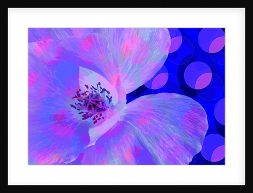 Poppy, 2010 by Scott J. Davis
