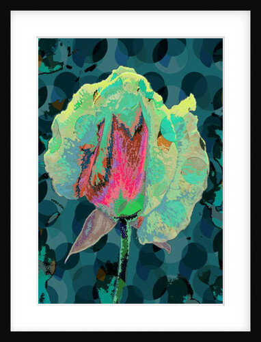 Tea Rose 4, 2010 by Scott J. Davis