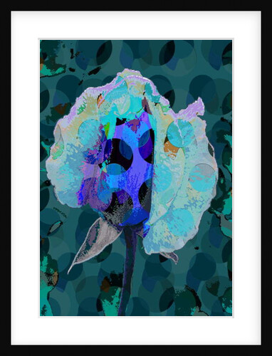 Tea Rose 5B, 2010 by Scott J. Davis
