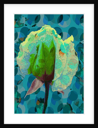 Tea Rose 2, 2010 by Scott J. Davis