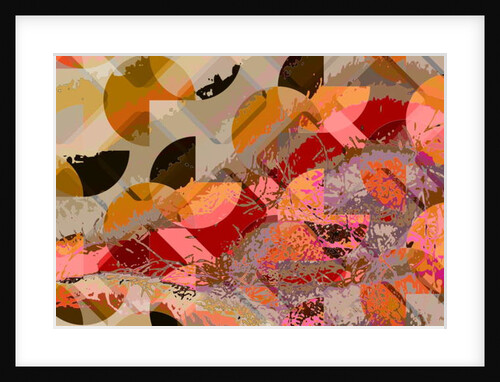 C26, 2010 by Scott J. Davis