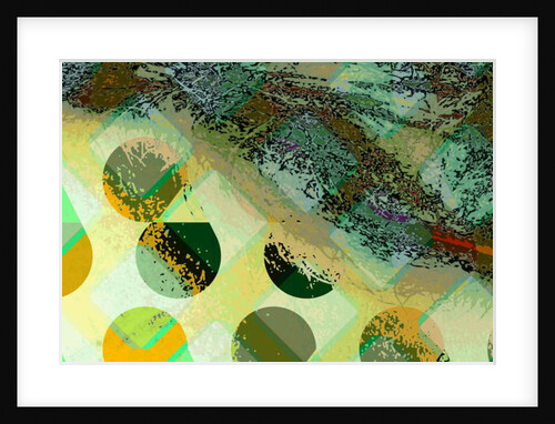 C31, 2010 by Scott J. Davis