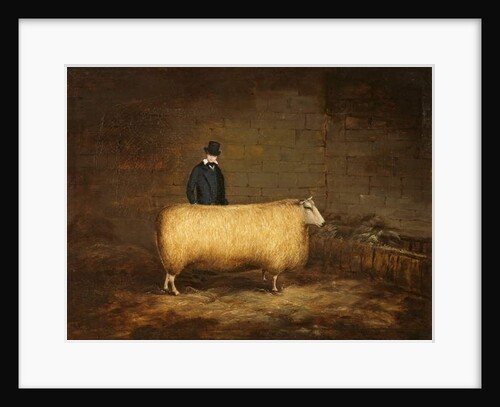 A Sheep and Its Owner by School English