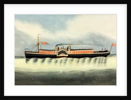 The 'Princess Alice', after 1878 by English School