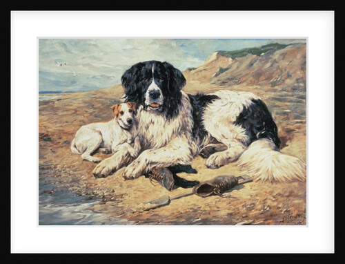 Dogs Watching Bathers, 1900 by John Emms