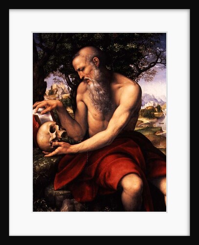 St. Jerome by Cesare da Sesto