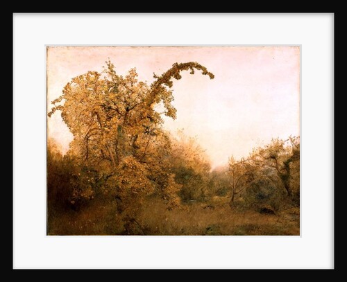 The Old Pear Tree by John William North