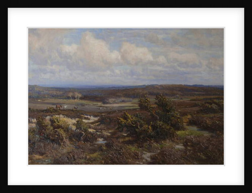 New Forest by Frederik Golden Short