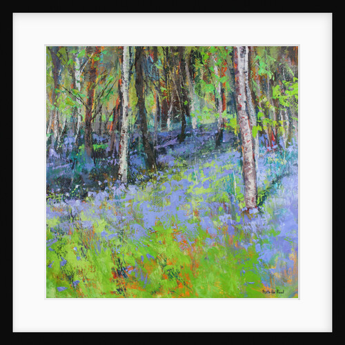 Bluebells and Birches, 2017 by Sylvia Paul