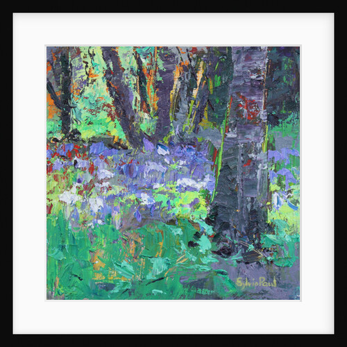Bluebell Patch by Sylvia Paul
