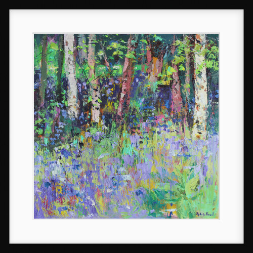 Bluebell Time, 2017 by Sylvia Paul