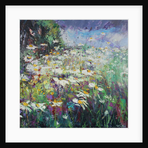 Daisy Meadow, 2017 by Sylvia Paul