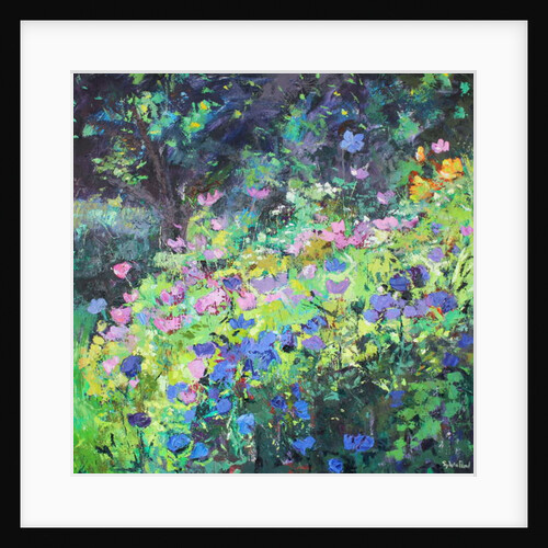 Play of Light, 2017 by Sylvia Paul