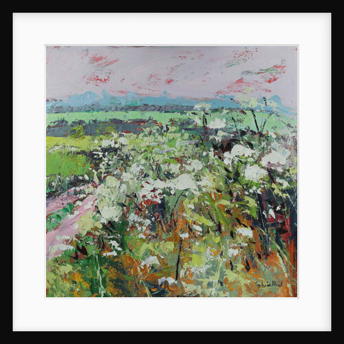 Footpath in Early summer by Sylvia Paul