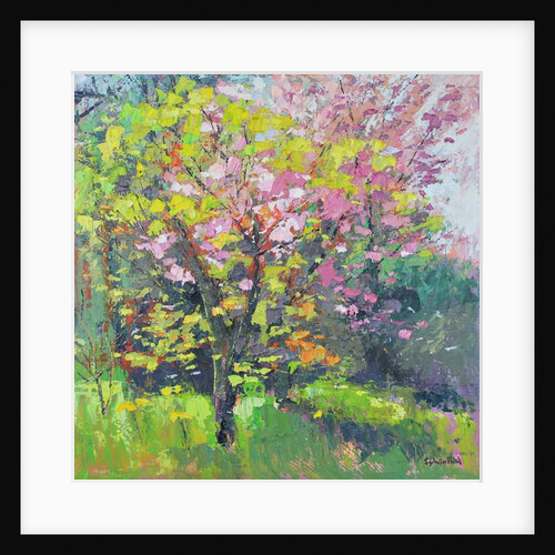 Blossom Delight, 2019 by Sylvia Paul