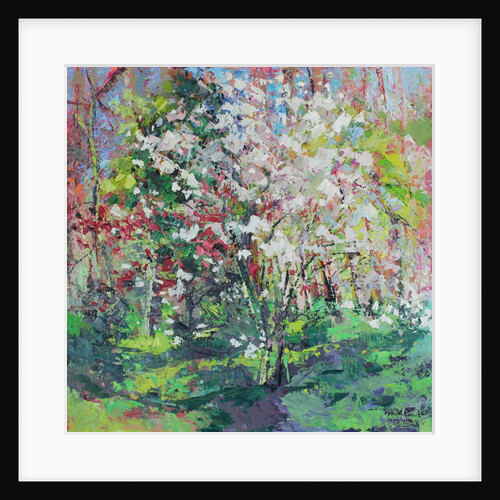 Blossom in the Wood, 2019 by Sylvia Paul