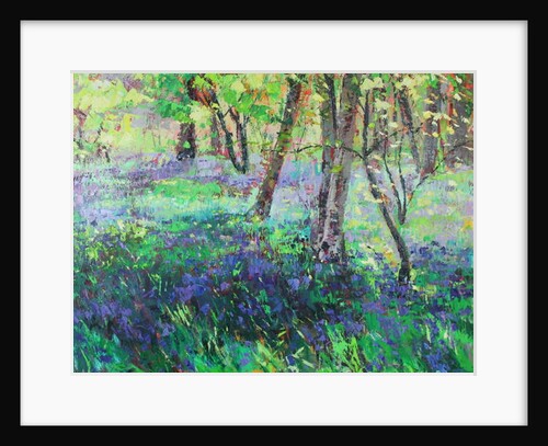 Sunshine and Bluebells, 2019 by Sylvia Paul