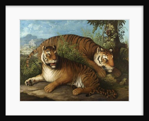 Royal Bengal Tigers by Johan Wenzel Peter