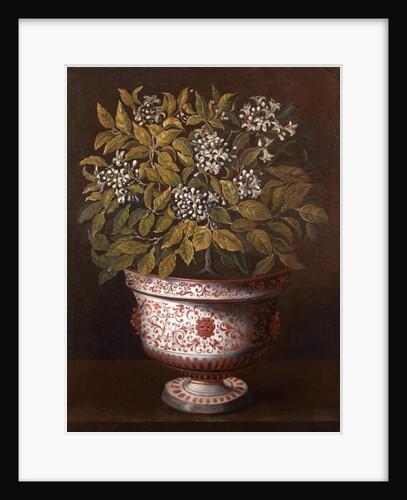 Terracotta Vase with an Orange Bush in Flower by Thomas Hiepes