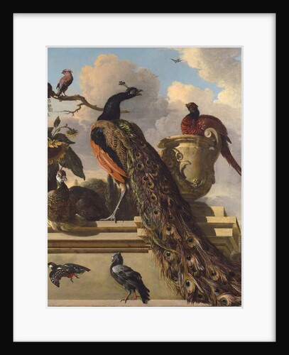 Birds in the Park by Melchior de Hondecoeter