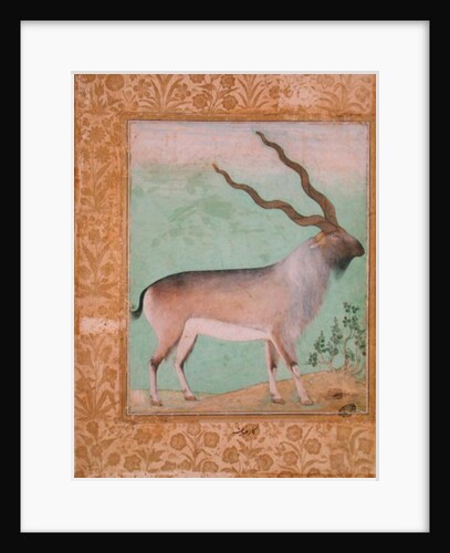 Ibex, Mughal by Indian School