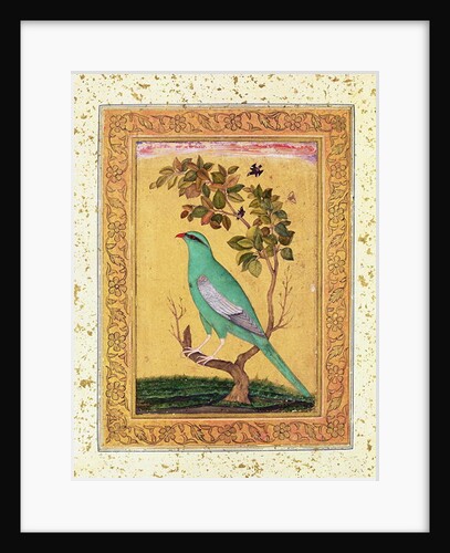 Green Bird, Mughal by Indian School