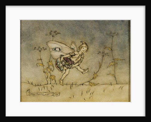 Fairy by Arthur Rackham