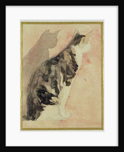 Study of a Cat by Gwen John