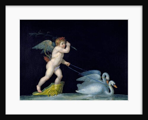 Cupid being led by a pair of swans by Michelangelo Maestri