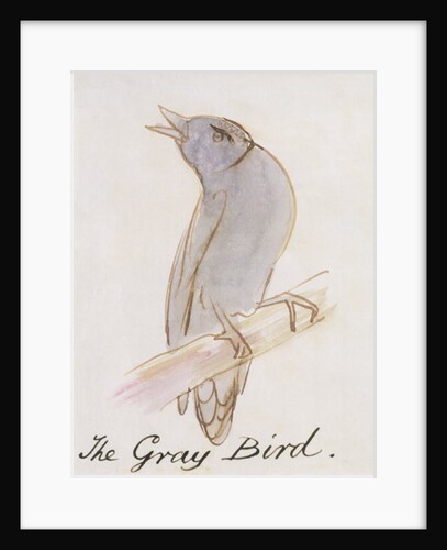 The Gray Bird by Edward Lear