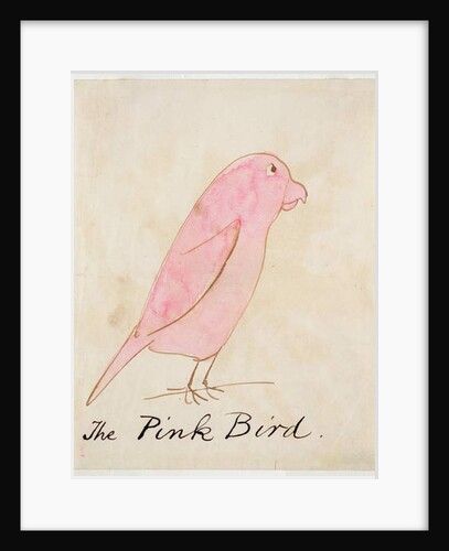 The Pink Bird by Edward Lear