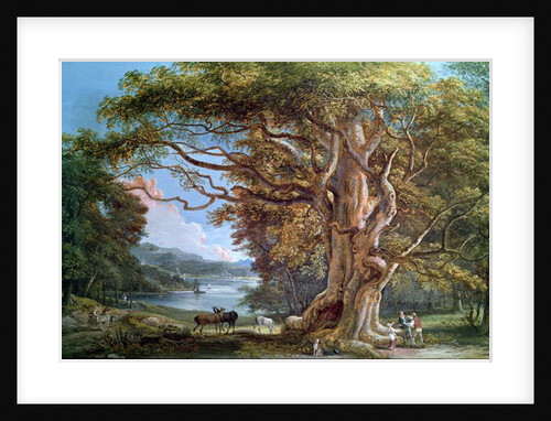 An Ancient Beech Tree, 1794 by Paul Sandby